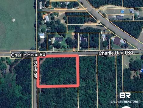 0 Charlie Head Rd, Stapleton, AL 36578 photo 5