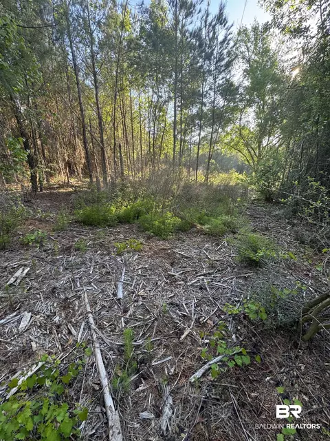 0 Charlie Head Rd, Stapleton, AL 36578 photo 3