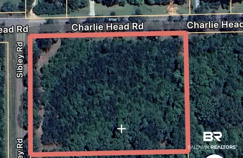 0 Charlie Head Rd, Stapleton, AL 36578 photo 7