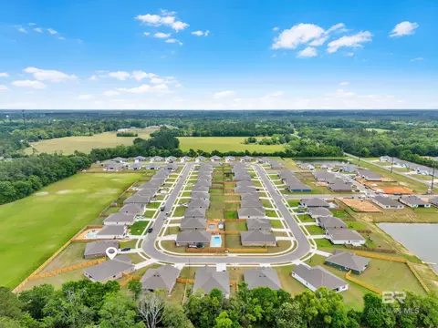 24460 Ringneck Loop, Elberta, AL 36530 photo 43