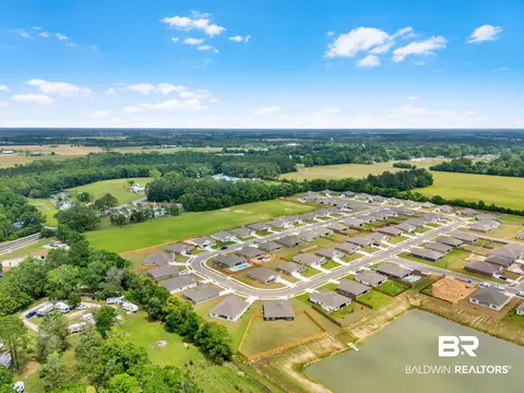 24460 Ringneck Loop, Elberta, AL 36530 photo 46