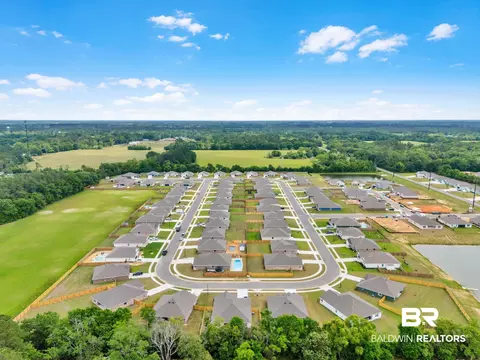 24460 Ringneck Loop, Elberta, AL 36530 photo 44