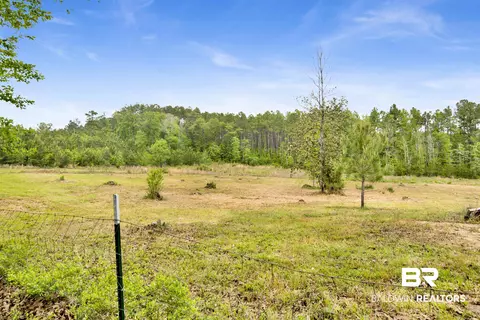 14301 Highway 45, Chunchula, AL 36521 photo 29