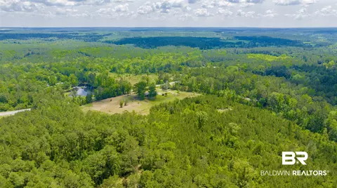 14301 Highway 45, Chunchula, AL 36521 photo 35
