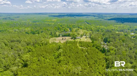 14301 Highway 45, Chunchula, AL 36521 photo 37
