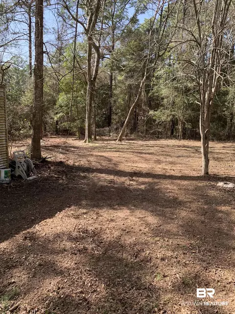 15575 Rogers Ave, Chunchula, AL 36521 photo 42