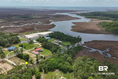 lot75 Morris Dr, Coden, AL 36523 photo 4