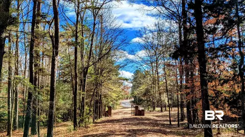 0 New Hope Rd, Millry, AL 36558