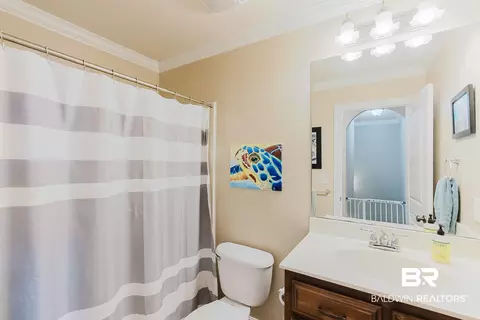 11045 Elysian Cir, Daphne, AL 36526 photo 41