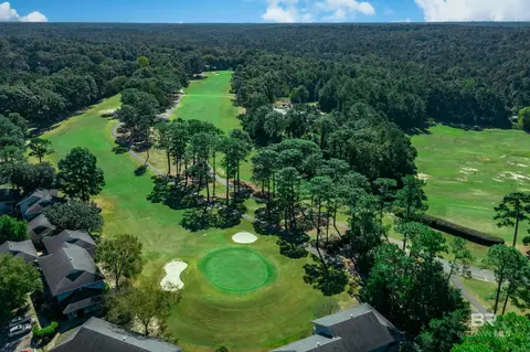 View/Area - 209 Montclair Loop, Daphne, AL 36526 photo 3 of 4
