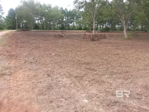 0 Engel Ln, Foley, AL 96535