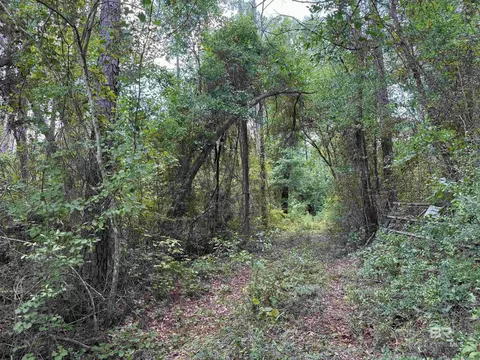 0 County Road 97, Elberta, AL 36530 photo 7