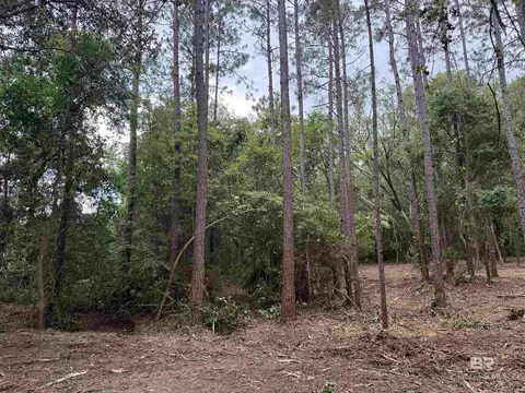 0 County Road 97, Elberta, AL 36530 photo 14