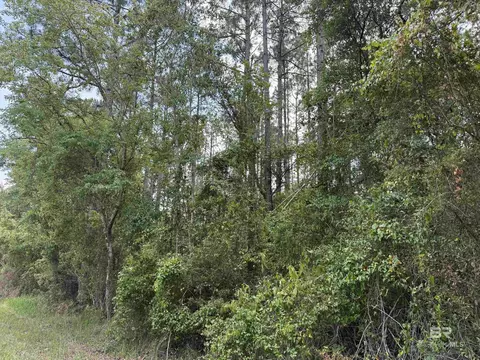 0 County Road 97, Elberta, AL 36530 photo 9