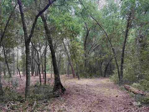 0 County Road 97, Elberta, AL 36530 photo 2