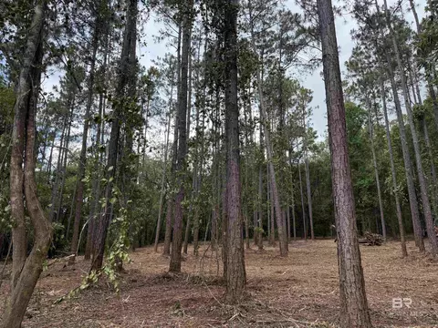 0 County Road 97, Elberta, AL 36530 photo 8