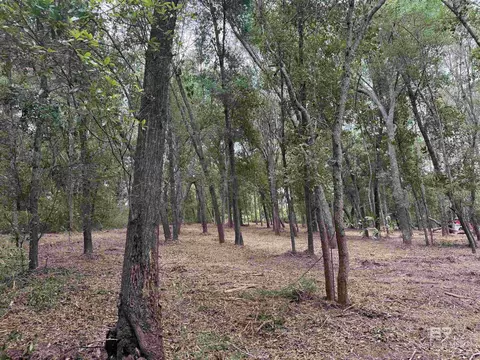 0 County Road 97, Elberta, AL 36530 photo 15