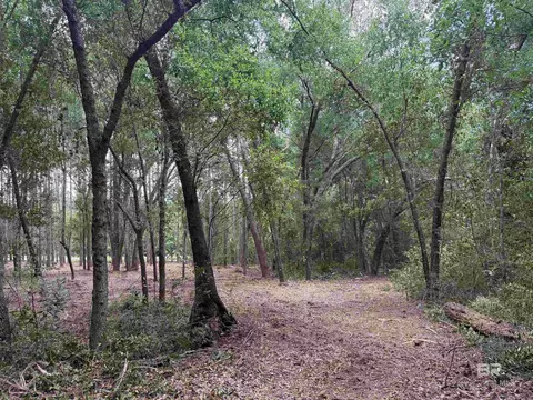0 County Road 97, Elberta, AL 36530 photo 16