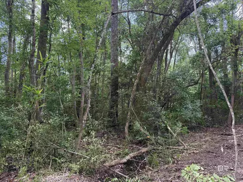 0 County Road 97, Elberta, AL 36530 photo 13
