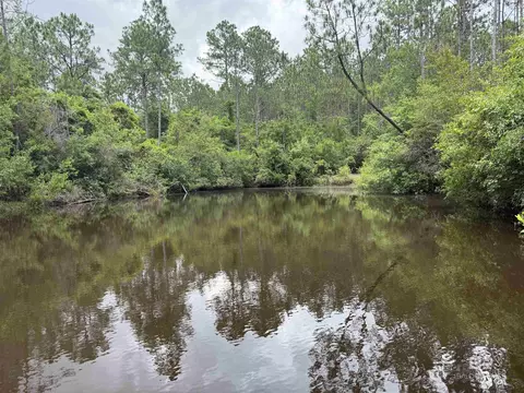 0 County Road 97, Elberta, AL 36530 photo 4