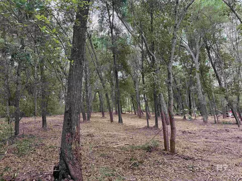 0 County Road 97, Elberta, AL 36530