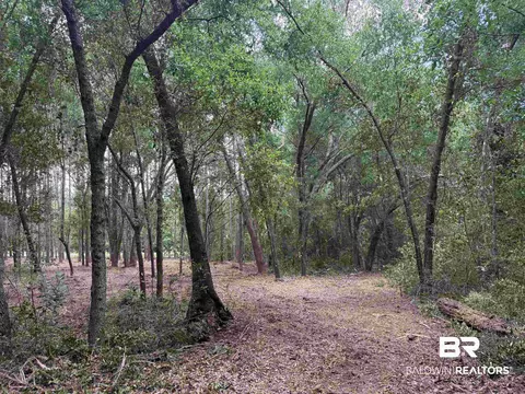 0 County Road 97, Elberta, AL 36530 photo 2