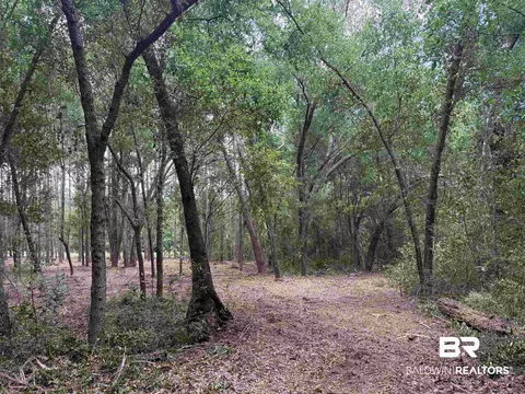 0 County Road 97, Elberta, AL 36530 photo 16