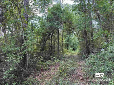 0 County Road 97, Elberta, AL 36530 photo 7