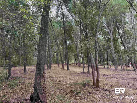 0 County Road 97, Elberta, AL 36530 photo 15