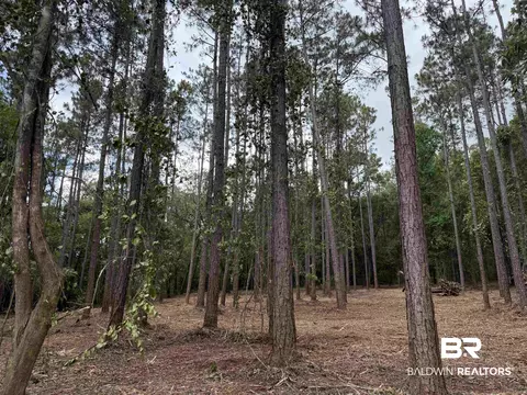 0 County Road 97, Elberta, AL 36530 photo 8