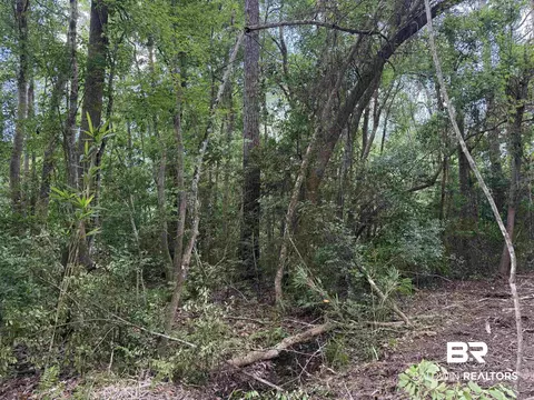 0 County Road 97, Elberta, AL 36530 photo 13