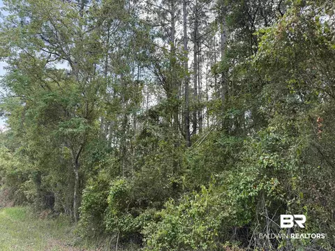 0 County Road 97, Elberta, AL 36530 photo 9