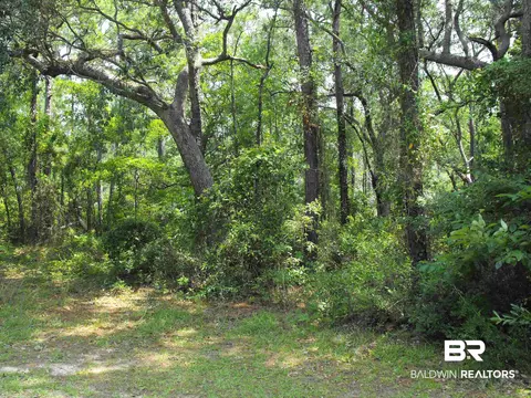 870 Heron Cove Ln, Gulf Shores, AL 36542