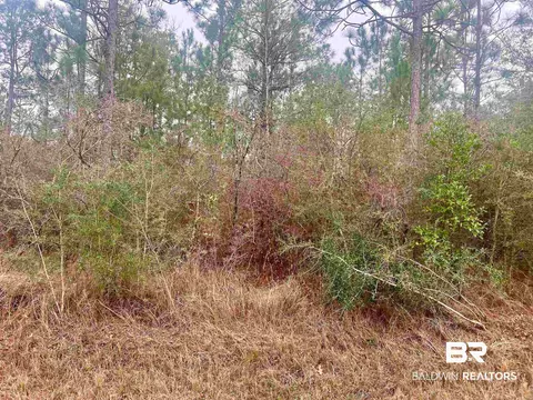 0 John Shinn Rd, Chunchula, AL 36521