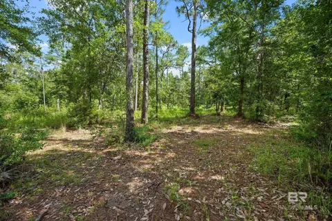 0 Eckman Rd, Elberta, AL 36530 photo 11