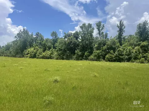 15660 Louis Cooper Rd, Bay Minette, AL 36507