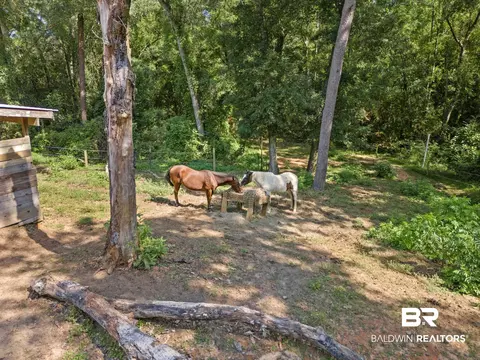 110 Dewitt Cir, Daphne, AL 36526 photo 34