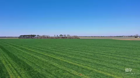 lot14 Davis Pond Rd, Atmore, AL 36502