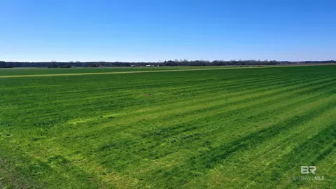 lot15 Davis Pond Rd, Atmore, AL 36502