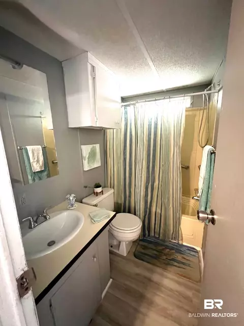24994 Pompano Dr, Elberta, AL 36530 photo 11