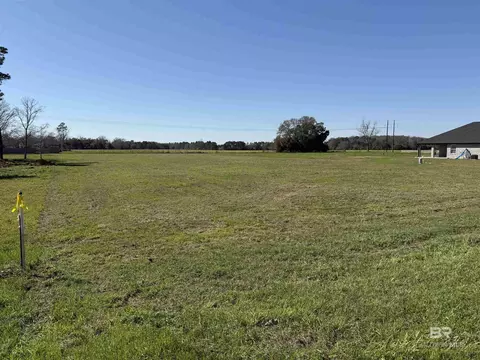 0 Gopher Ct, Elberta, AL 36530 photo 2