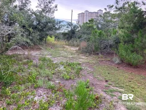 8844 Bonita Ln, Gulf Shores, AL 36542