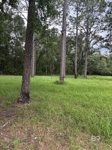 10901 Hall Dr, Axis, AL 36505 photo 7