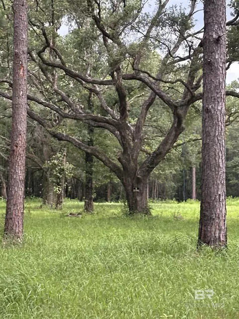 10901 Hall Dr, Axis, AL 36505