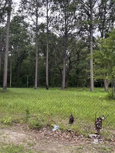 10901 Hall Dr, Axis, AL 36505 photo 3