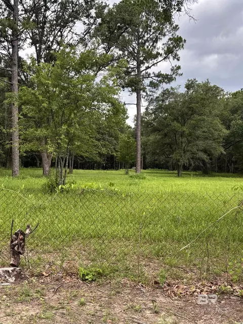 10901 Hall Dr, Axis, AL 36505 photo 2