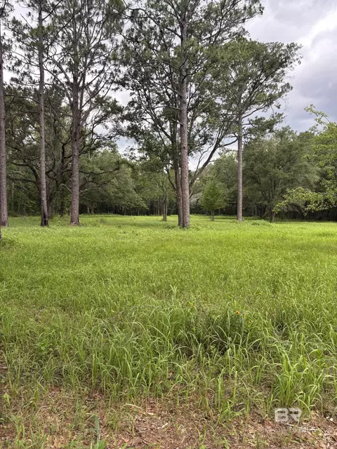 10901 Hall Dr, Axis, AL 36505 photo 6