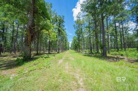 0 Hurricane Rd, Bay Minette, AL 36507