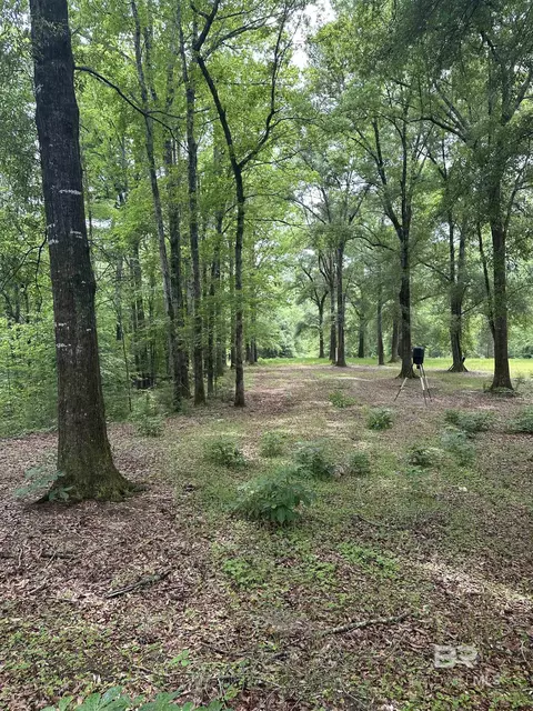 0 E Bethlehem Rd, Jackson, AL 36545