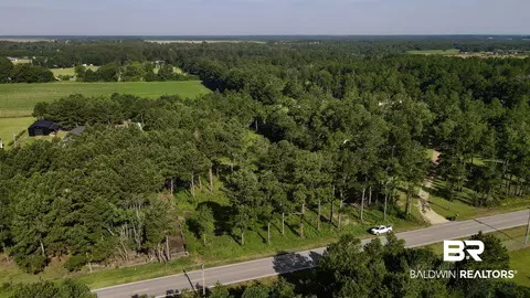 17239 County Road 87, Elberta, AL 36530 photo 4